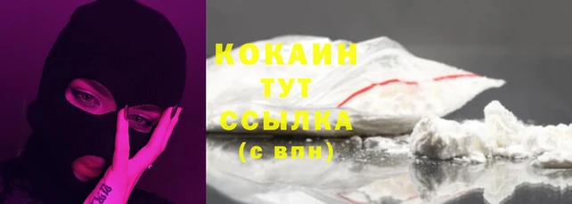 крисы Мегион