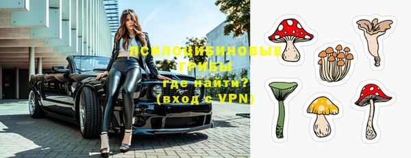 a pvp Михайлов